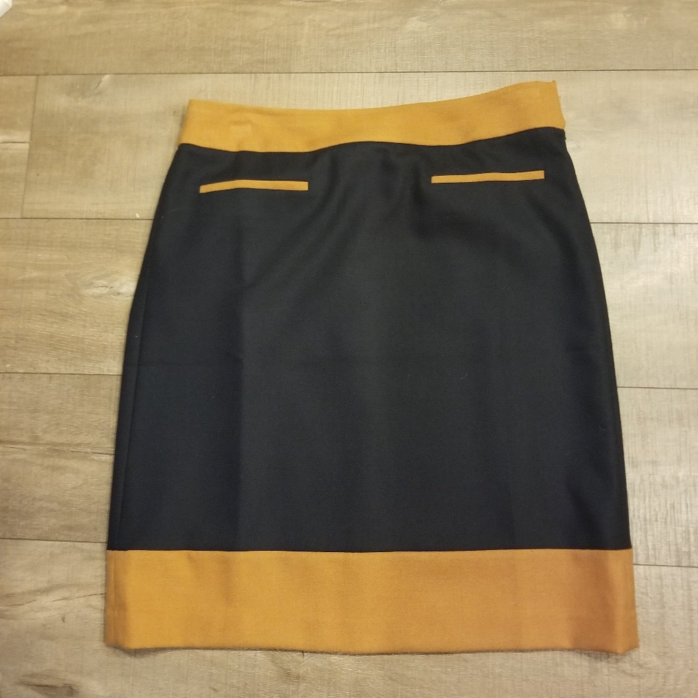 LOFT Skirt